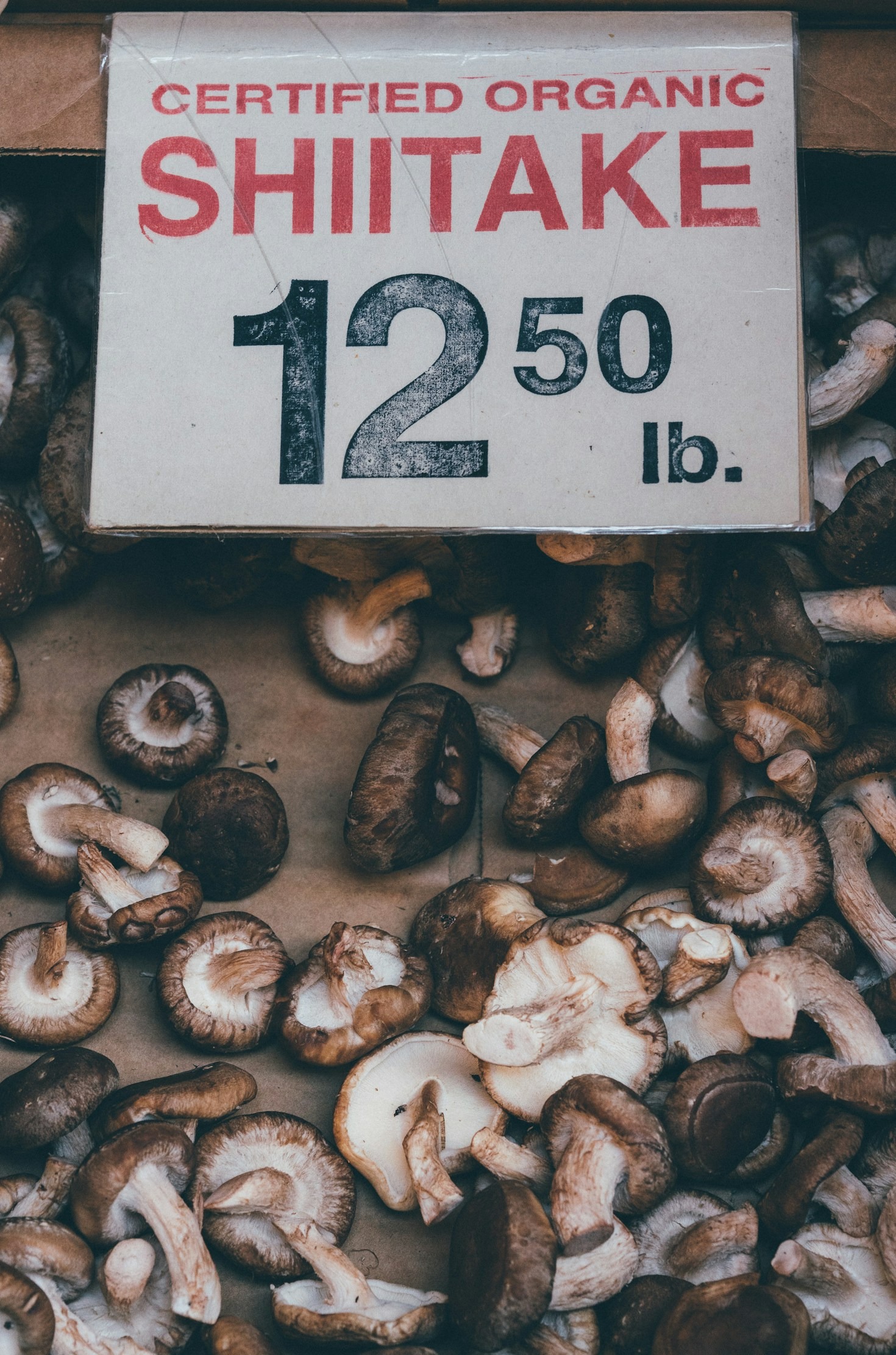 Receitas Deliciosas com Cogumelos Shitaki